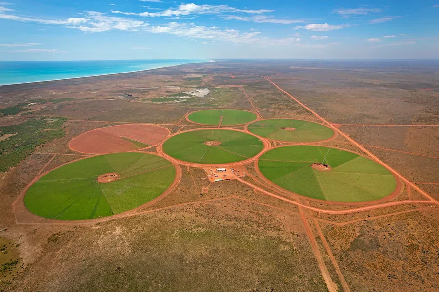 Bruce Cheung acquired the 200,000-hectare Pardoo Station in 2015.
