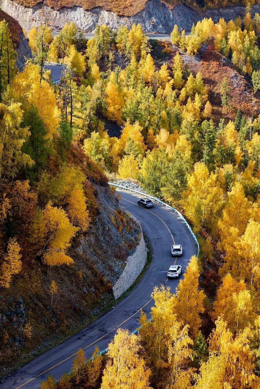 Known as the “number one village of northwest China”, Baihaba village is located on the bank of the border river separating China and Kazakhstan, with a straight-line distance of less than 3 kilometres from Kazakhstan. A drive from Kanas to Baihaba in autumn is a unique and charming experience — you will pass through the Tielieketi Grand Canyon on the China-Kazakhstan border and golden forests.