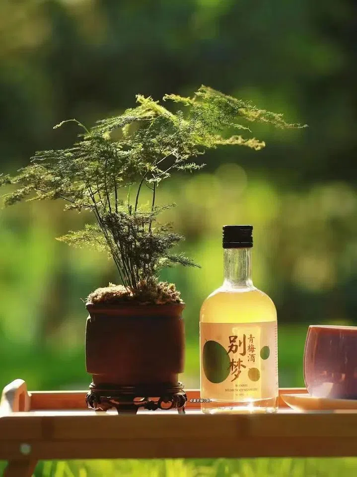 Plum blossom wine. (Courtesy of Shen Jialu)
