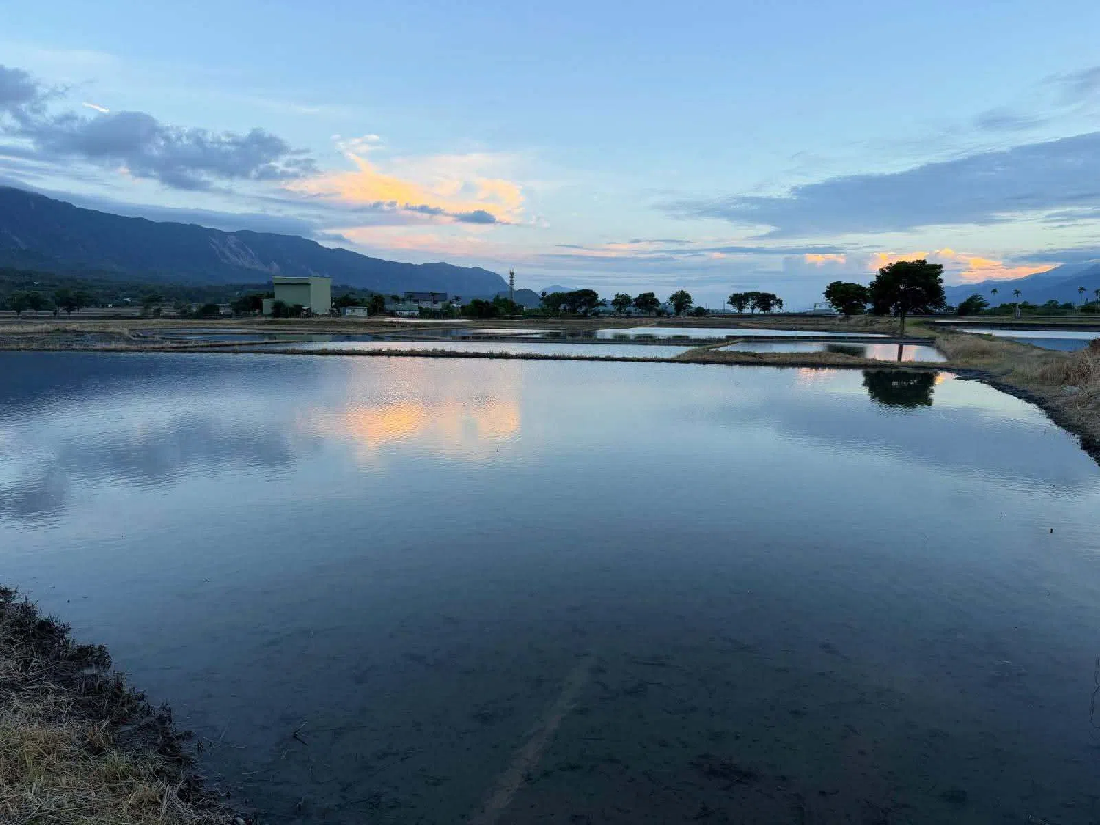 The serene paddy fields of Chishang, in preparation for seedling planting.