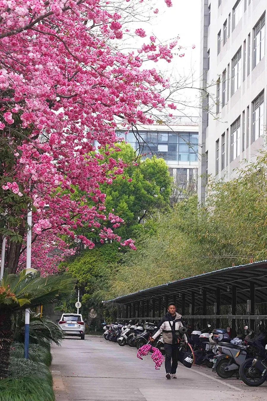 Li Chengcheng carries his fitness gear to a residential compound in Kunming, 7 March 2026.