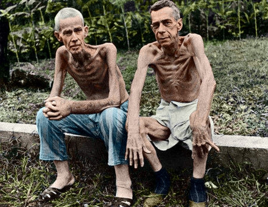 The Westerners in the Japanese POW camps were forced into long hours of hard labour without sufficient nourishment or rest. They were beaten and humiliated by the Japanese, and many died. The Japanese were unconcerned and left the POWs to die. When the surviving POWs were released at the end of World War II, they were starving and malnourished. These inhumane experiences live on in many memoirs and films.