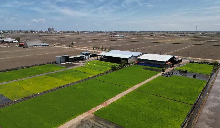 Sekinchan is rich with natural resources, making it the land of fish and rice.