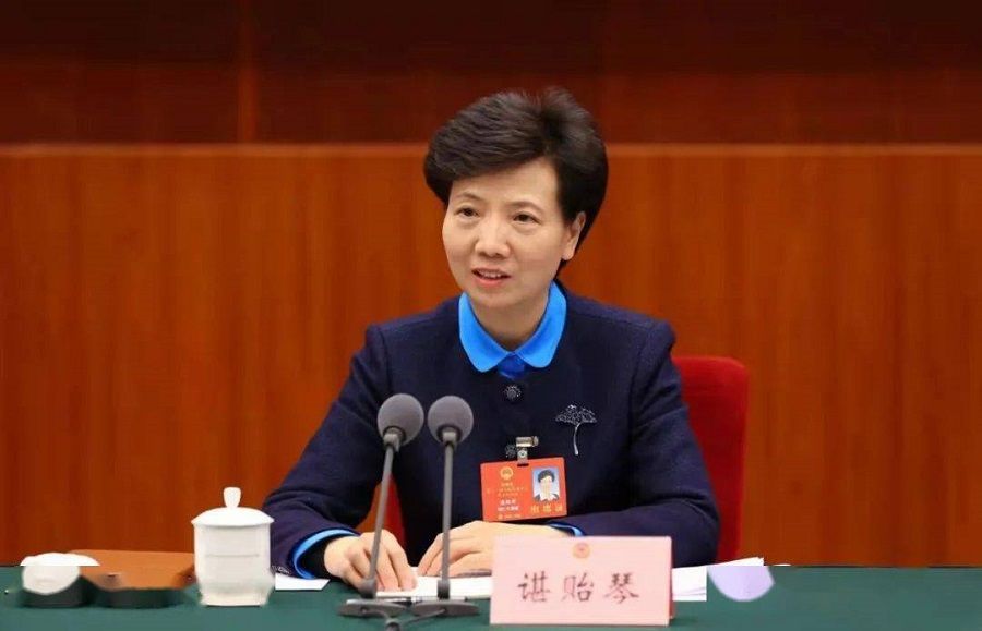 Guizhou Party Secretary Shen Yiqin. (Internet)
