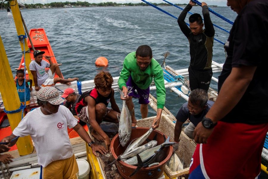 Filipino fishermen sort fish after arriving from a week-long trip to the disputed Scarborough Shoal, in Infanta, Pangasinan province, Philippines, 6 July 2021. (Eloisa Lopez/Reuters)