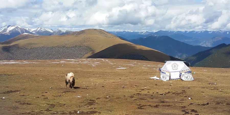 With the nomads at the Tagong grasslands.