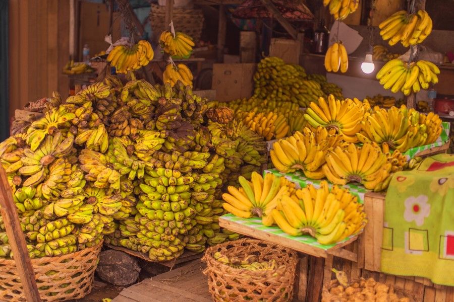 Banana farmers are benefiting from President Rodrigo Duterte's personal embrace of China. (iStock)
