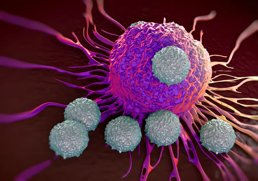 An illustration of T cells attacking cancer cell.