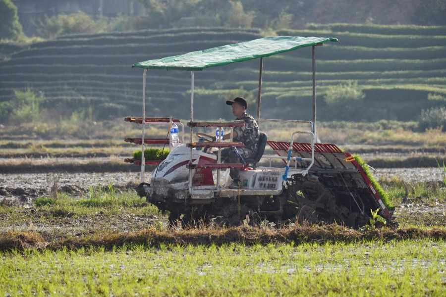 A farmer seeds rice with a seeding machine in a field in Wuyi, in China's eastern Zhejiang province on 12 April 2022. (AFP)