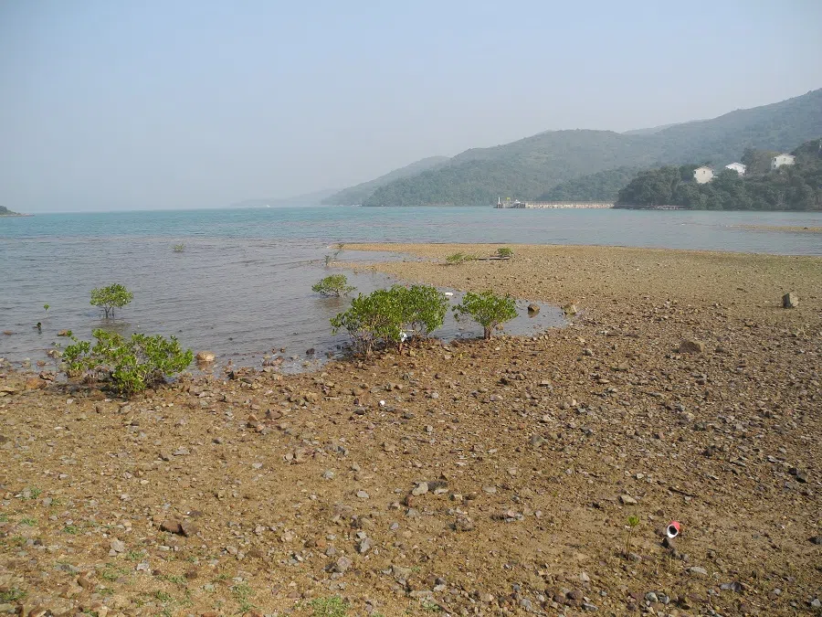A view of Ko Lau Wan.