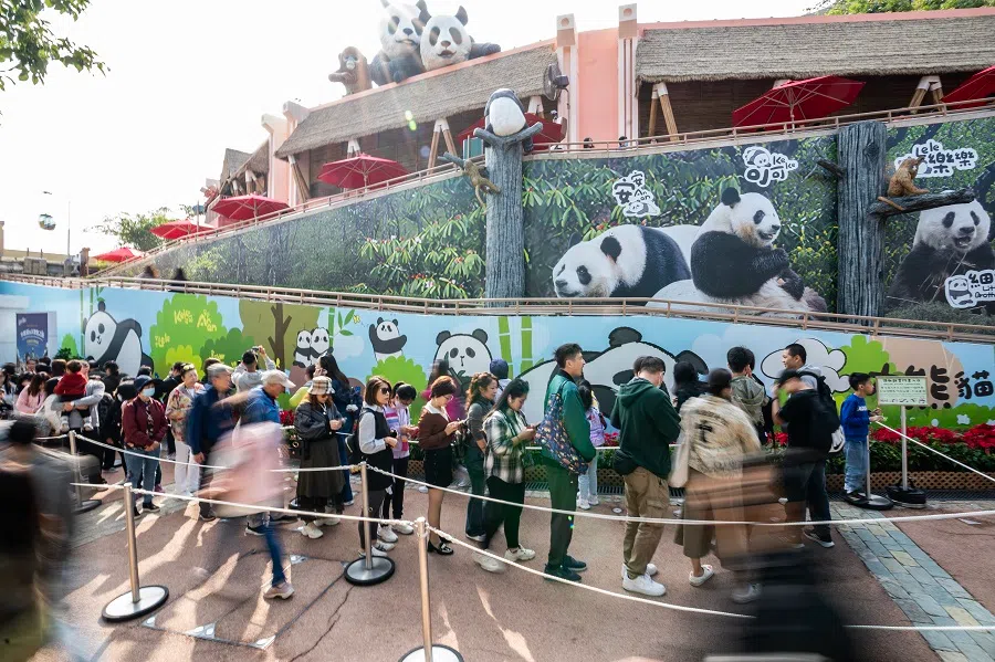 Visitors queue to see An An and Ke Ke at Ocean Park on 8 December 2024. (CNS)