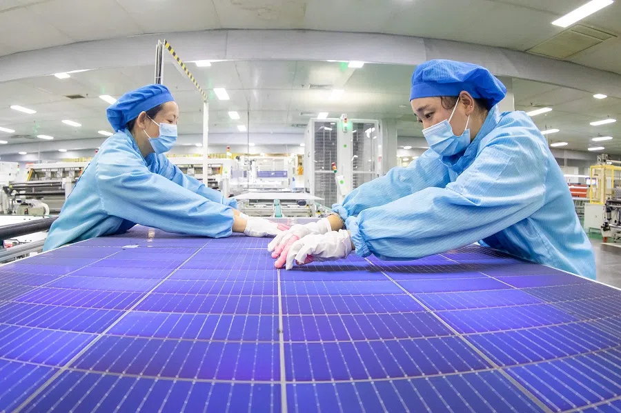 Employees work on solar photovoltaic modules at a factory in Haian, Jiangsu province, China, on 21 November 2023. (AFP)