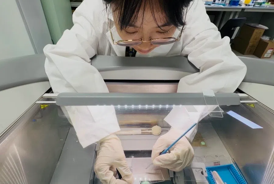 Nuwacell Biotech is developing induced pluripotent stem cell (iPSC) therapies, including cell products for treating Parkinson’s disease. The picture shows a staff member performing an experimental procedure, September 2026.