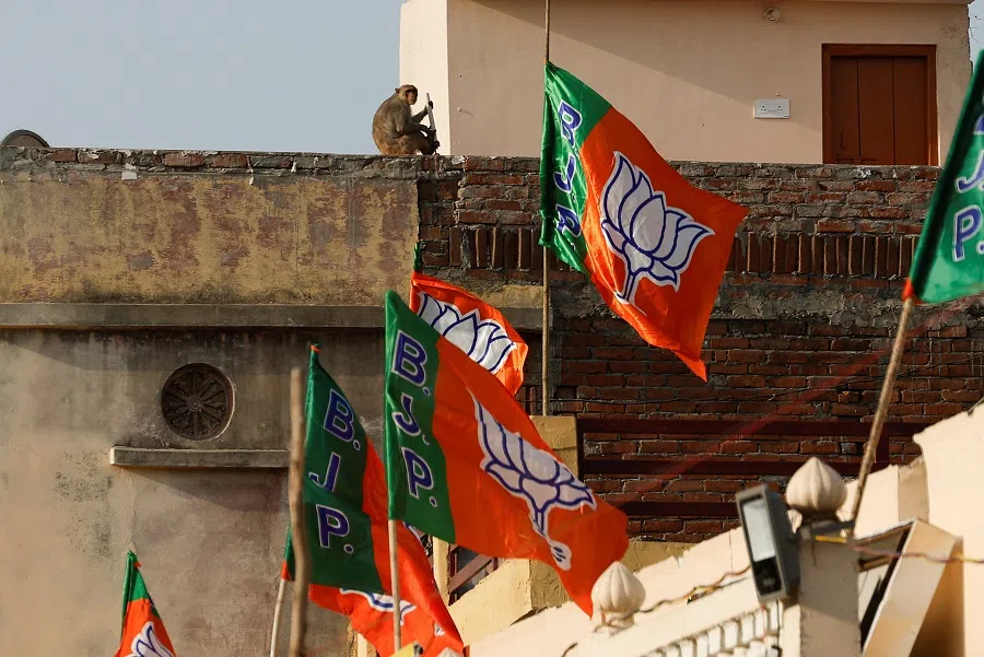A monkey sits near Bharatiya Janata Party (BJP) flags, on the day of a BJP election campaign rally in Ayodhya, India, on 5 May 2024.  (Francis Mascarenhas/Reuters)