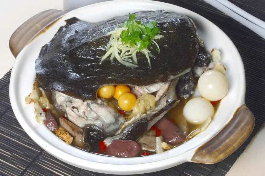 A bowl of turtle soup. (SPH)