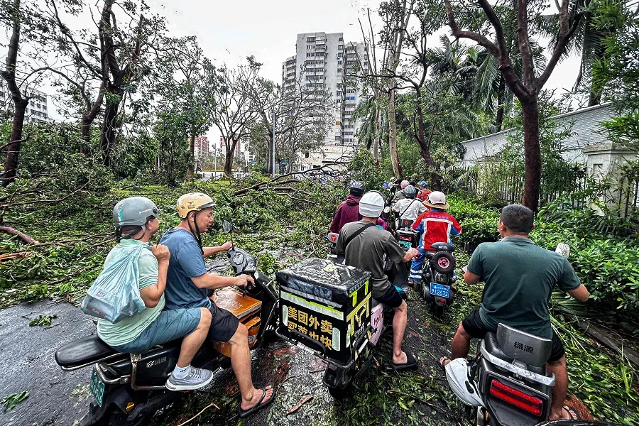 People ride scooters past fallen trees after Super Typhoon Yagi hit Haikou, Hainan province, China, on 7 September 2024. (CNS/AFP)