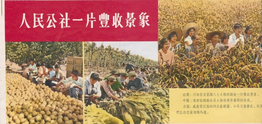 The mainland also used the "people's commune" in its leaflets as part of psychological warfare against Taiwan in the 1960s. This is especially ironic today because the people's commune was an important part of the Great Leap Forward. At the time, there were claims of abundance everywhere, but now the truth is out that it was the worst famine in China during the 20th century, with an estimated 60 million people who starved to death in mainland China - even today, the exact number is not known.