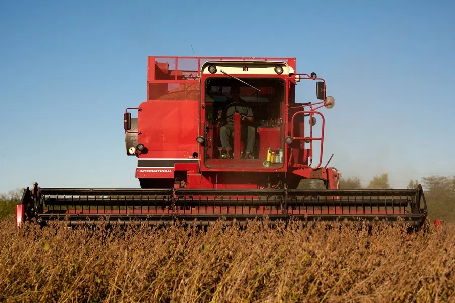 Soybeans being harvested at a farm in Ohio on 27 September 2026.