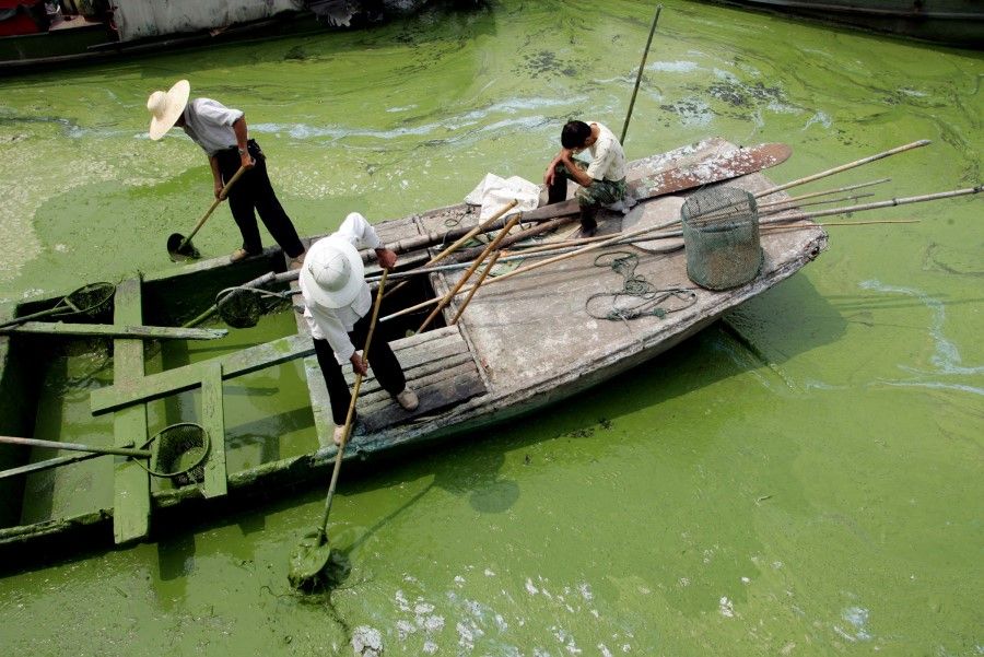 In 2007, Lake Tai, China's third largest and Wuxi's main water source, was hit with a massive bloom of blue-green algae on 28 May following days of high temperature, low water levels, and decades of indiscriminate dumping of untreated sewage, industrial pollutants and agricultural waste into the waters. (SPH)