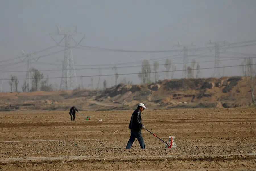 Workers use planters to plant corn seeds on the fields in a village on the outskirts of Wuwei, Gansu province, China, 14 April 2021. (Carlos Garcia Rawlins/File Photo/Reuters)
