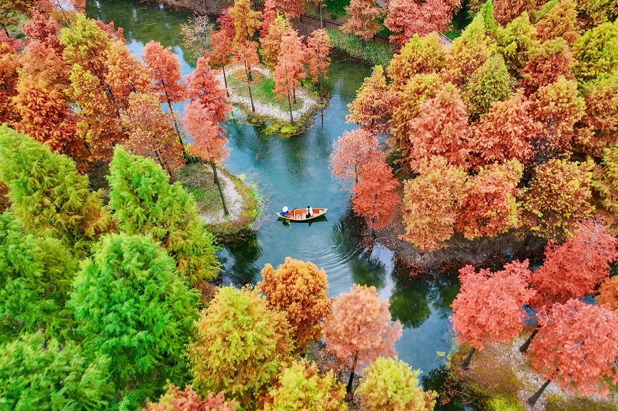 This aerial photo taken on 29 November 2023 shows people riding boat among trees in autumn colours at a park in Nantong, in China's eastern Jiangsu province. (AFP)
