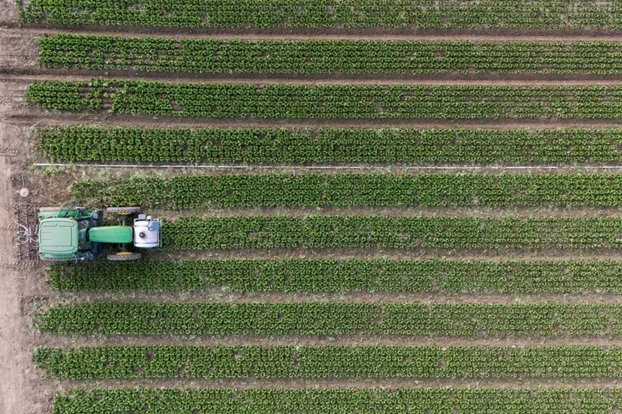 A tractor drips nitrogen fertilizer onto rows of romaine lettuce at Pisoni Farms near Gonzales, California, US, on 1 April 2026. (Nic Coury/Bloomberg)
