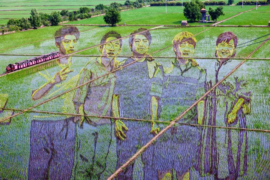This aerial photo taken on 13 June 2021 shows an image of youths, created by growing different varieties of rice, in a paddy in Shenyang, China's northeastern Liaoning province. (STR/AFP)