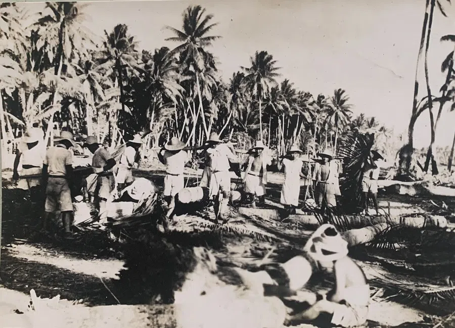 In 1943, the Japanese army occupied the islands of Southeast Asia and conducted deforestation work. (Photo provided by Hsu Chung-mao)