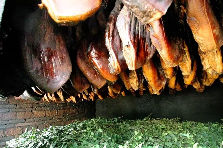 Hams hanging with tea leaves and tea branches smouldering below.