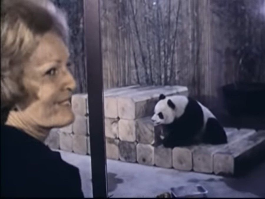 A screen capture from a video featuring Pat Nixon visiting the pandas at the Smithsonian's National Zoo. (Internet)