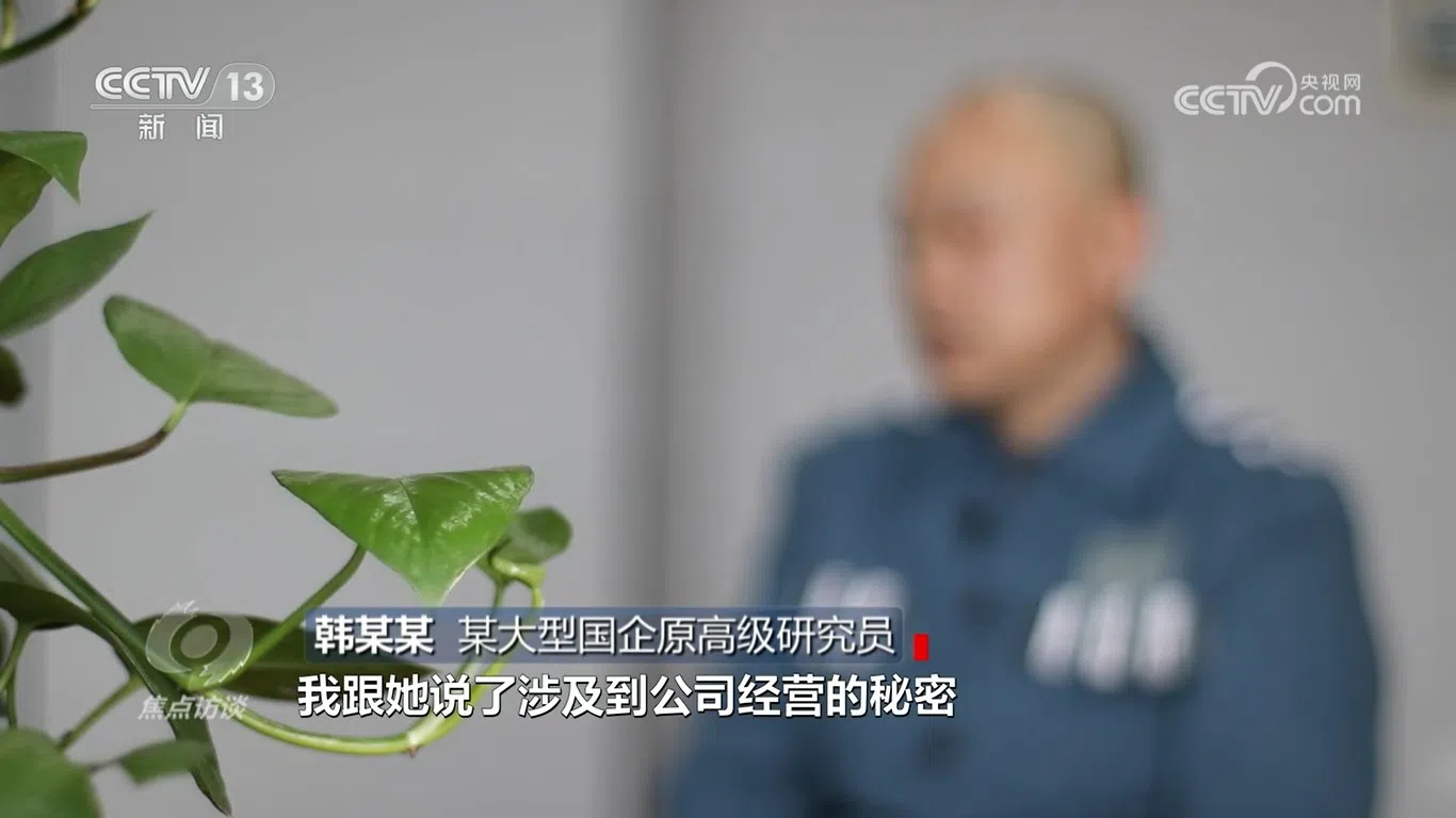 A screen grab from a video featuring an interview with one expert surnamed Han who worked for a state-owned enterprise. (Internet)