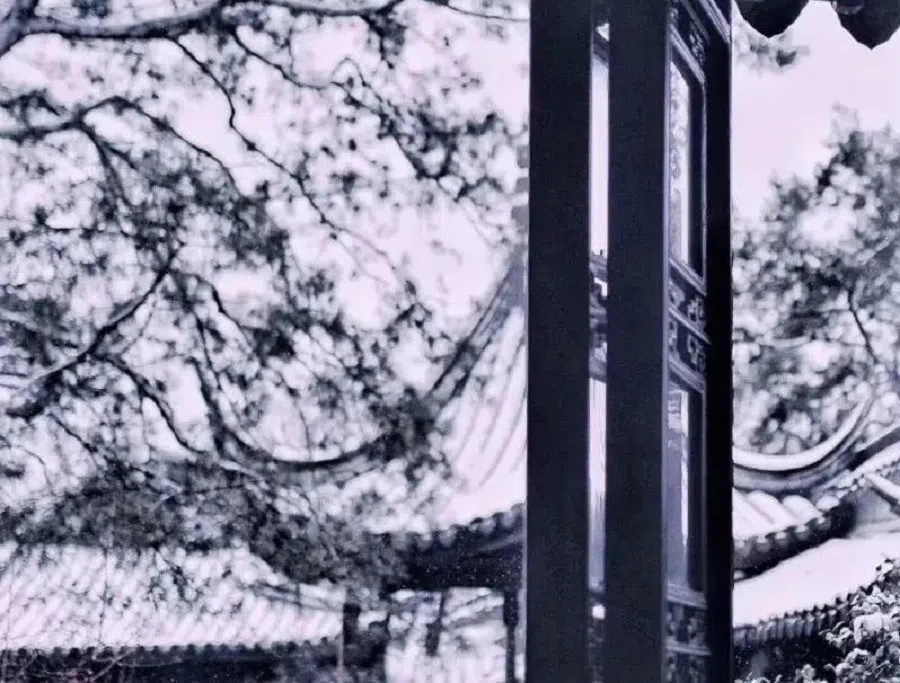 Contrasting black and white tones of snow-capped roof ridges and dark cornices exposed to the harsh wind. (WeChat/玉茗堂前)