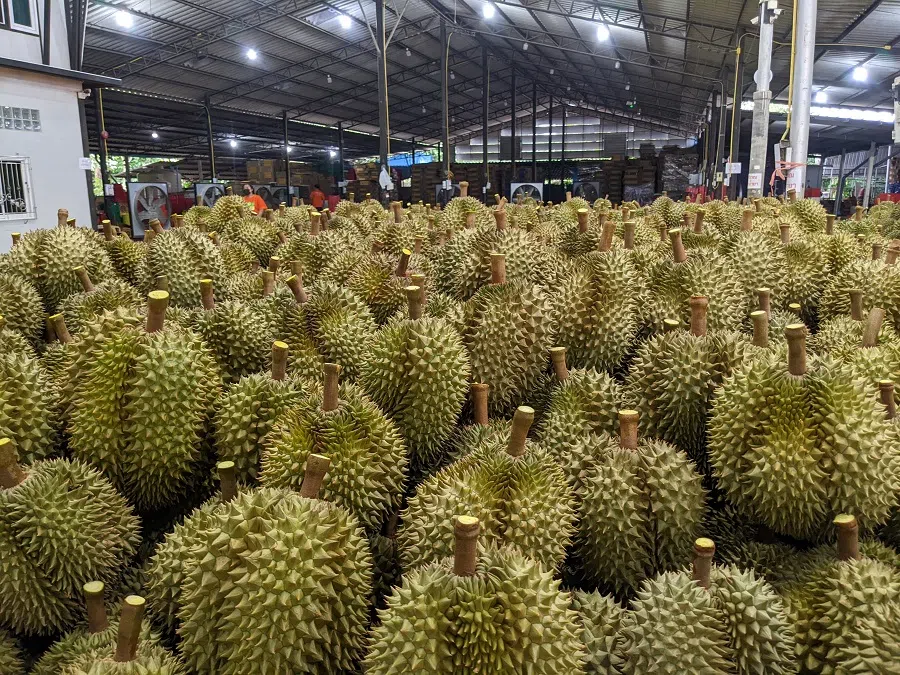 A durian export centre in Chanthaburi, Thailand.