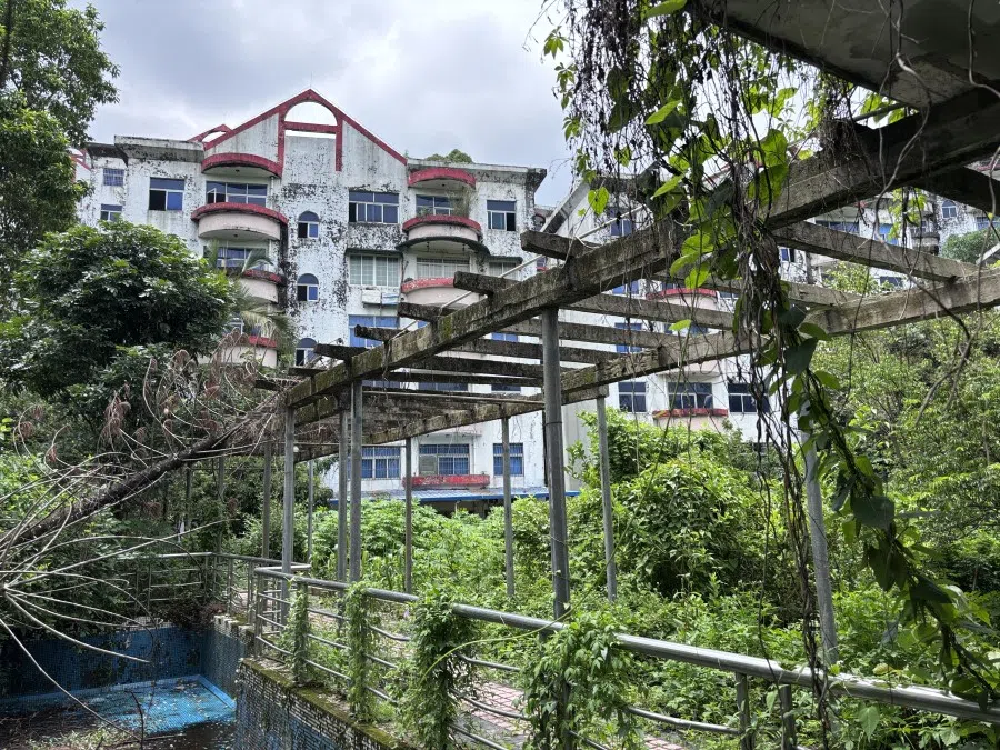 An untended garden in Australia Garden Village.
