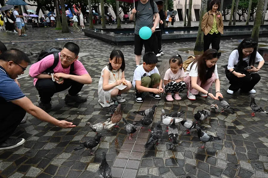 Tourists from mainland China feed the pigeons as they visit the Tsim Sha Tsui waterfront in Hong Kong on 1 May 2024 at the start of the Golden Week holiday period. (Peter Parks/AFP)