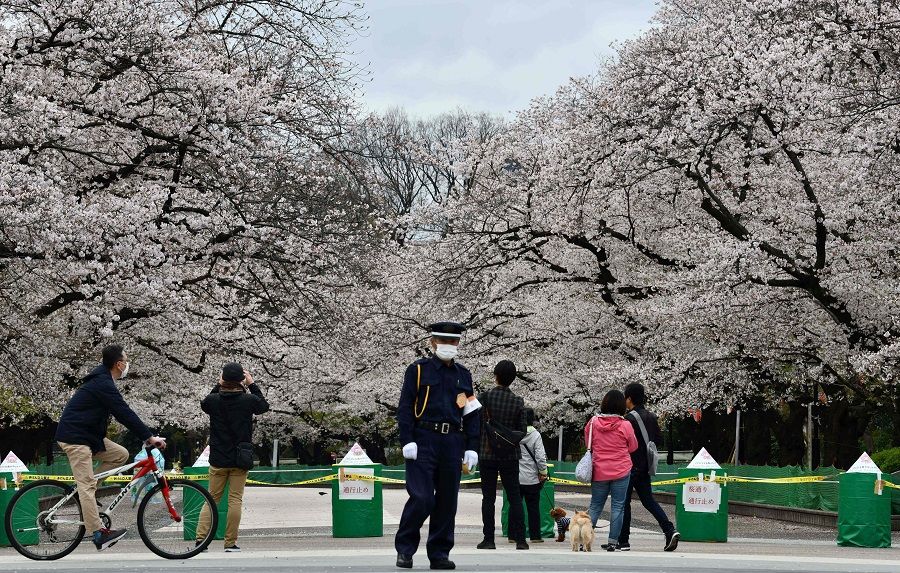 A secury guard (center) stands at a closed cherry blossom viewing spot in Tokyo's Ueno park on 28 March 2020. (Kazuhiro Nogi/AFP)