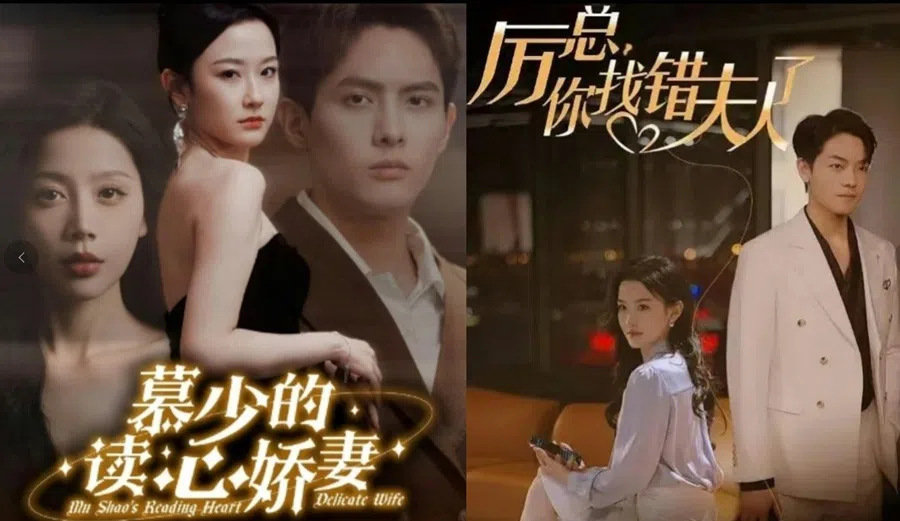 Some examples of micro-dramas. (Internet)