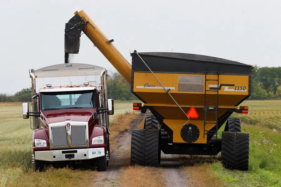 A grain cart empties its load of canola into a truck on a farm near Clandeboye, Manitoba, Canada, on 8 September 2025. (Shannon VanRaes/Reuters)