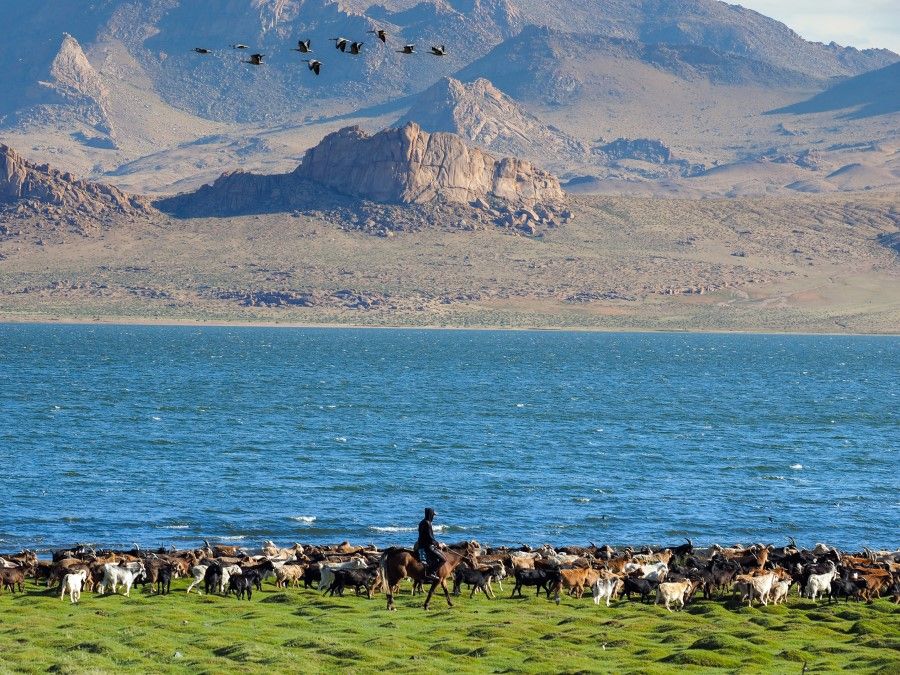 Mongolia is a land of high mountains and nomadic animal husbandry. (SPH Media)
