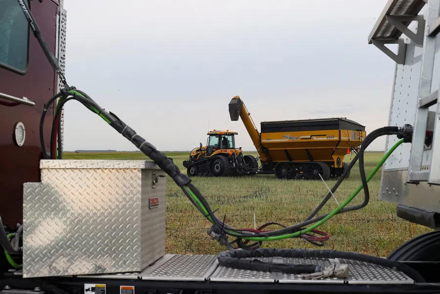 A grain cart drives past as a tractor pulls a grain truck on a farm near Clandeboye, Manitoba, Canada, on 8 September 2025. (Shannon VanRaes/Reuters)
