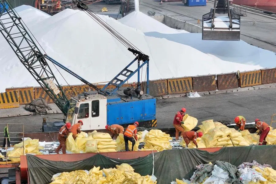 Workers handle sacks of fertiliser for export at the Yantai port in Yantai, eastern China's Shandong province on 23 March 2026. (AFP)