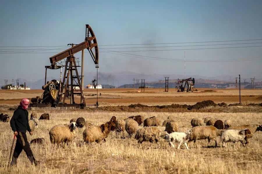 A shepherd walks past the Rmailan oil field in the northeastern Syria, near the border with Turkey on 8 January 2025. (Delil Souleiman/AFP)