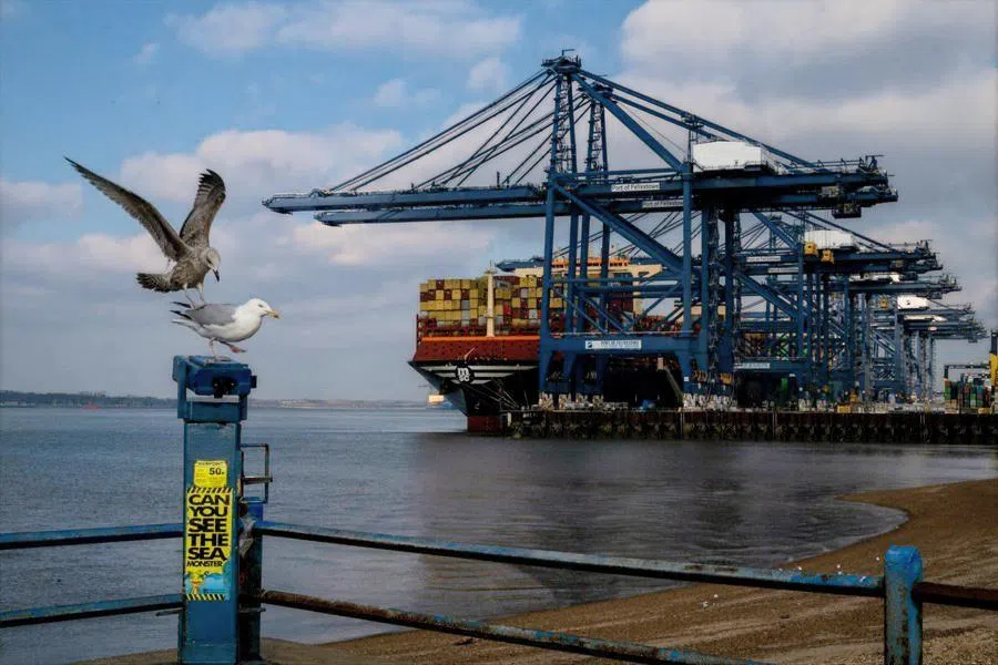 Gulls fight for space on a public binocular, in front of container ship MSC Idania docked at the Port of Felixstowe in Felixstowe, Britain, on 17 February 2025.