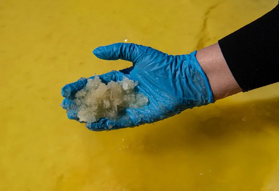 A worker displays 9% lithium from a sample pool at Chilean company SQM’s lithium mine in the Atacama Desert, Calama, Chile, on 12 September 2022. (Martin Bernetti/AFP)