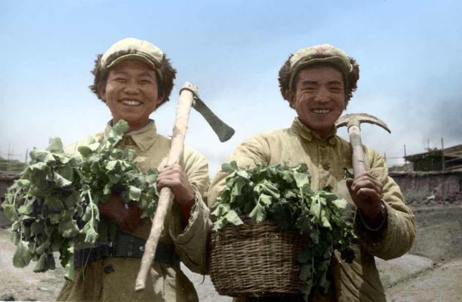 PLA troops engaging in farm work in Tibet, 1951.
