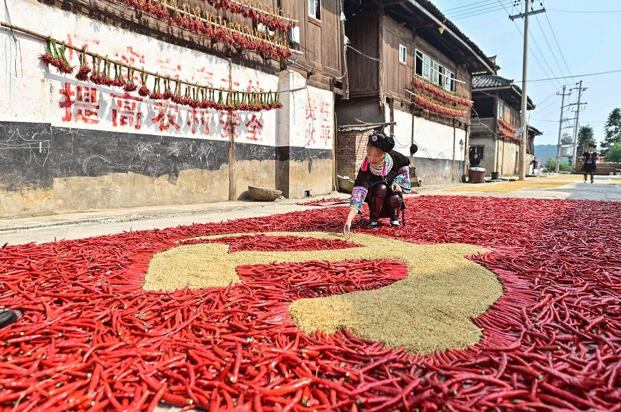 This photo taken on 12 September 2021 shows a farmer creating a flag of the Chinese Communist Party with corns and red peppers as farmers dry their harvested products in Congjiang, Guizhou province, China. (STR/AFP)