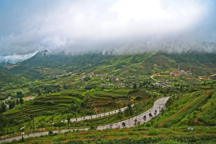 Tea fields in Anxi. (iStock)