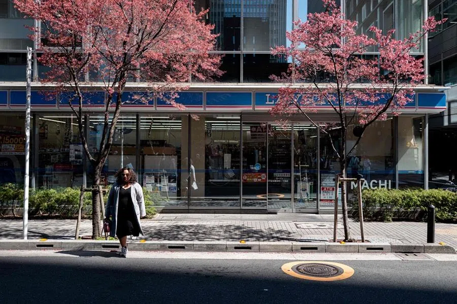 A woman walks under the cherry blossom trees in the Chuo district of Tokyo on 11 March 2026. (Philip Fong/AFP)