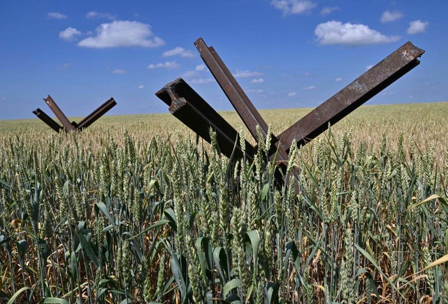 A photograph shows anti-tank obstacles on a wheat field at a farm in southern Ukraine's Mykolaiv region, on 11 June 2022, amid the Russian invasion of Ukraine. (Genya Savilov/AFP)