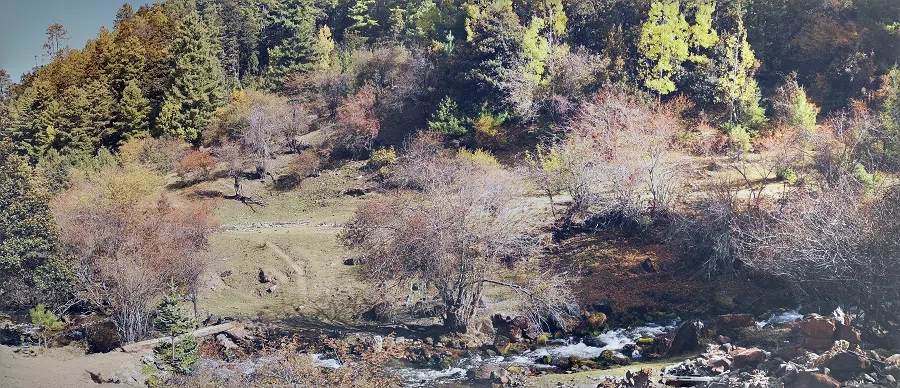 The mountain forest in autumn.